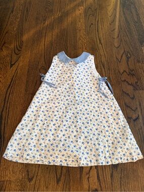 Blue Floral Peter Collar Tie-Side Kids Dress